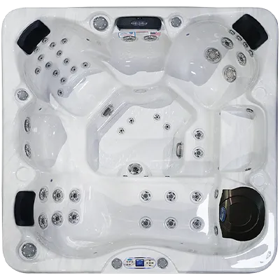 Avalon EC-849L hot tubs for sale in Sparks