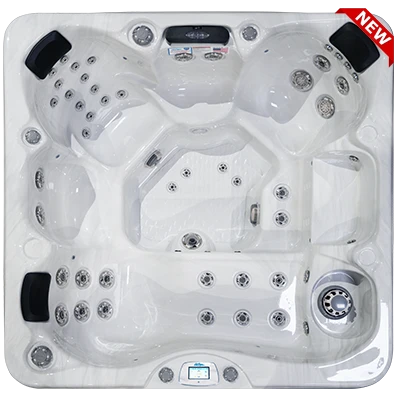 Avalon-X EC-849LX hot tubs for sale in Sparks